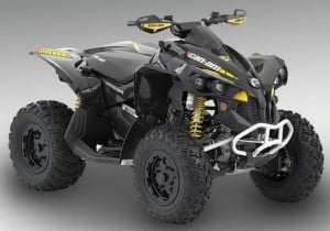 quad can am renegade 800 X